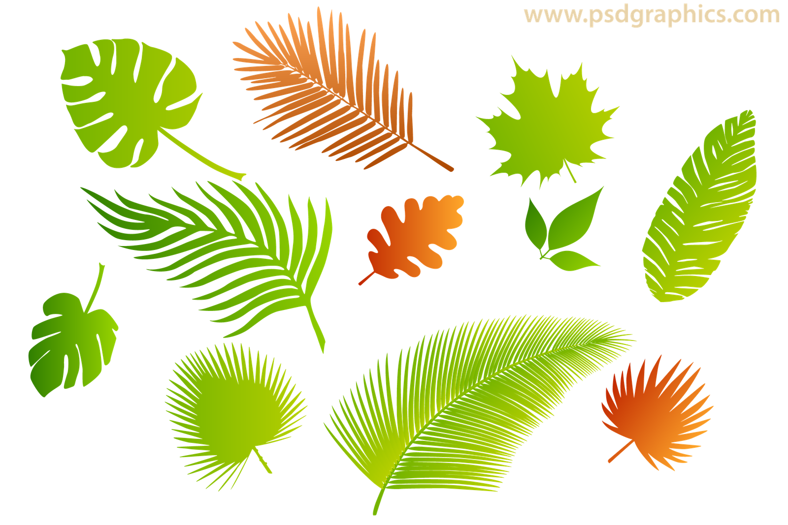 Leaves silhouettes set | PSDGraphics