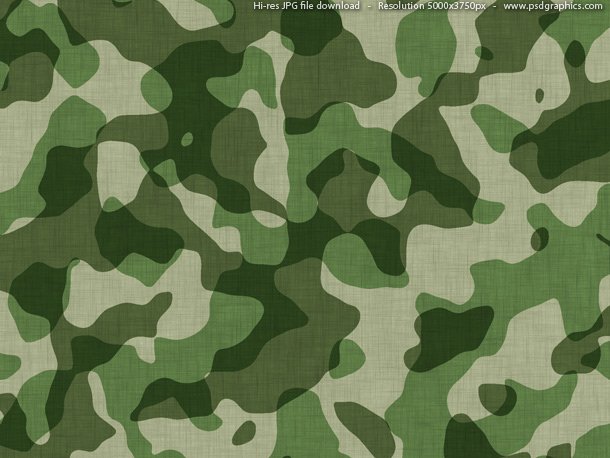 555,879 Camouflage Pattern Royalty-Free Photos and Stock Images
